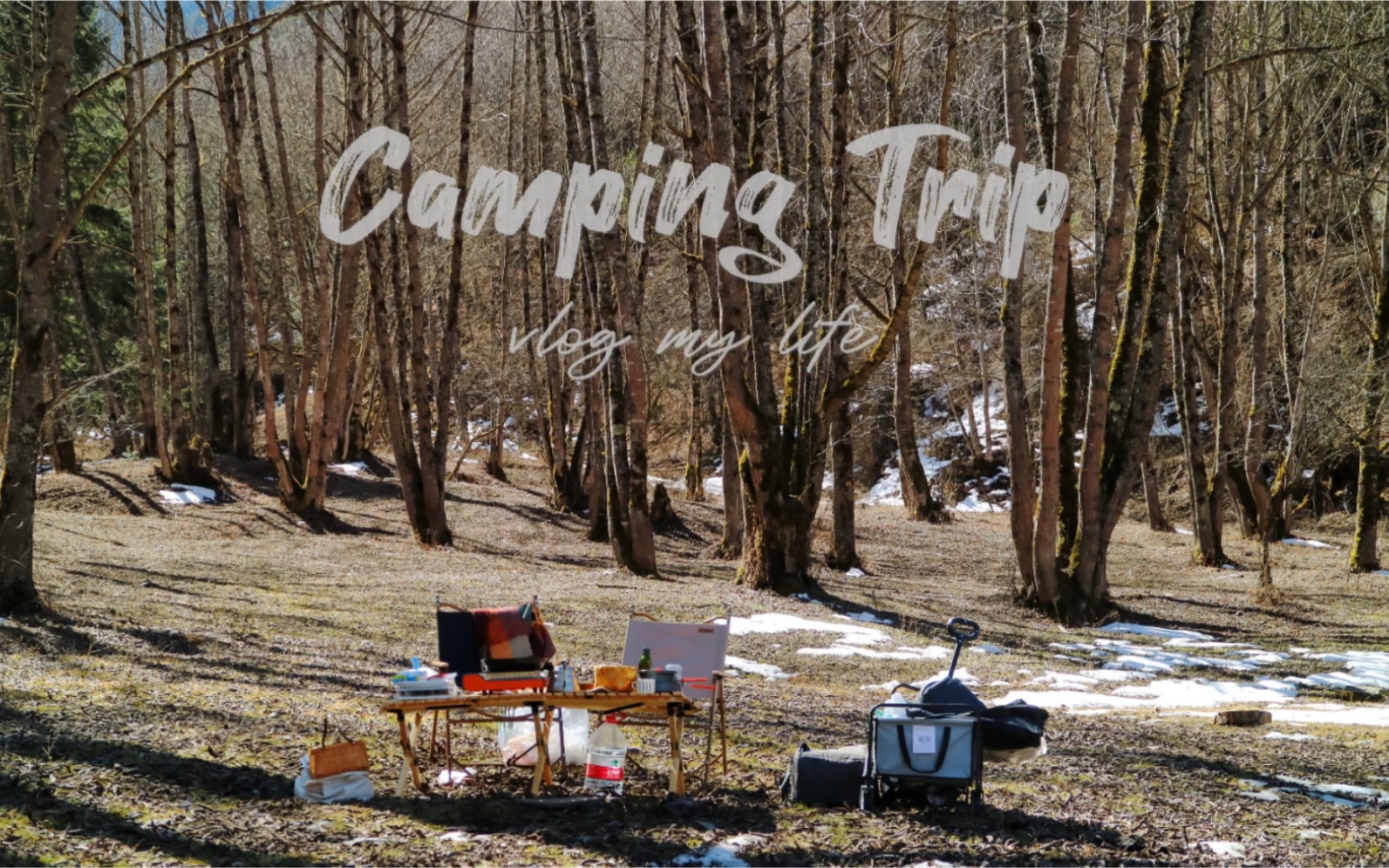 camping trip,去山顶露营吧!