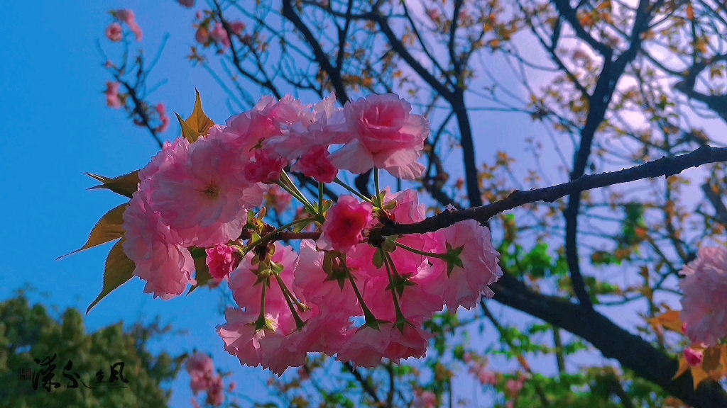 [图]我们总在错过，错过了不该错过的风景，选择了不该选的生活。