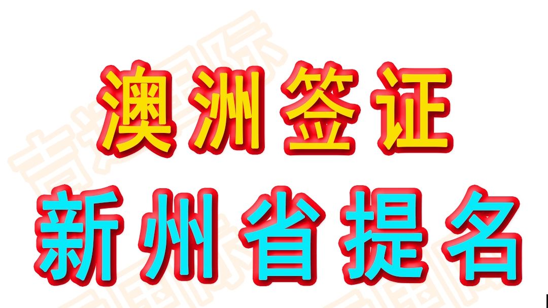 新州州担保最全介绍,含190、491州担保申请方法、要求及注意事项,纯干货分享哔哩哔哩bilibili