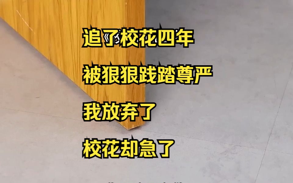 追了笑话四年,被狠狠践踏尊严,我放弃了,校花却急了哔哩哔哩bilibili