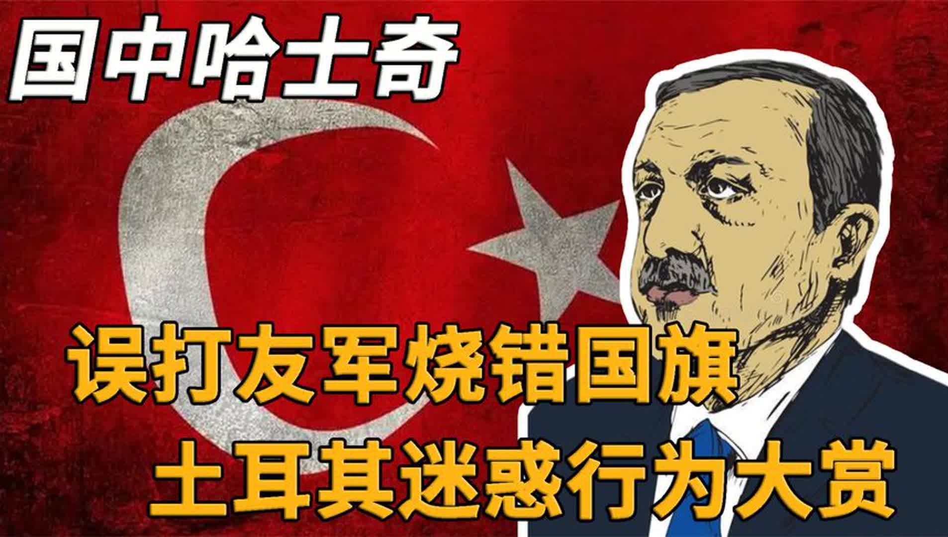 国中哈士奇是怎么练成的?自己家空军炸海军,土耳其迷惑行为大赏哔哩哔哩bilibili