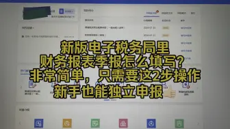 Download Video: 会计实操~新版电子税务局里，财务报表季报原来也这么简单！