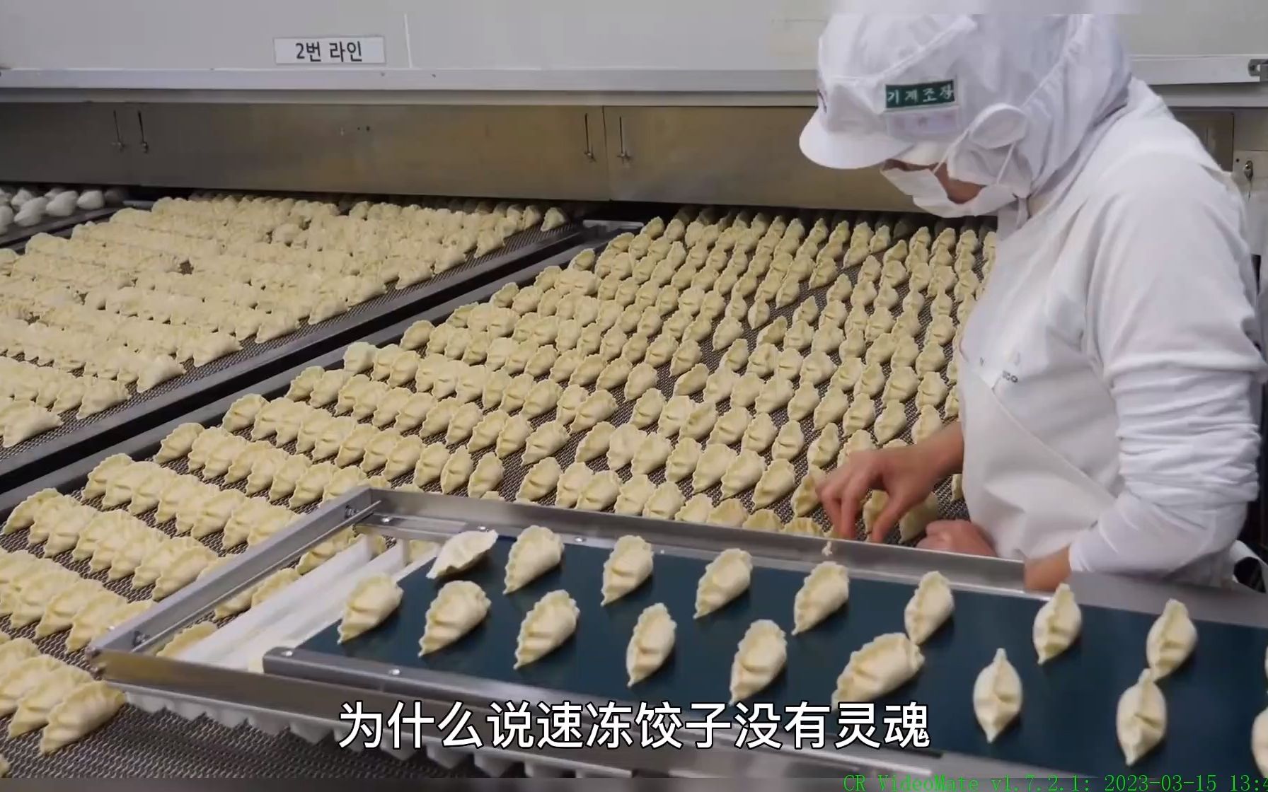 速冻饺子是怎么加工出来的?探访速冻饺子加工厂一看究竟