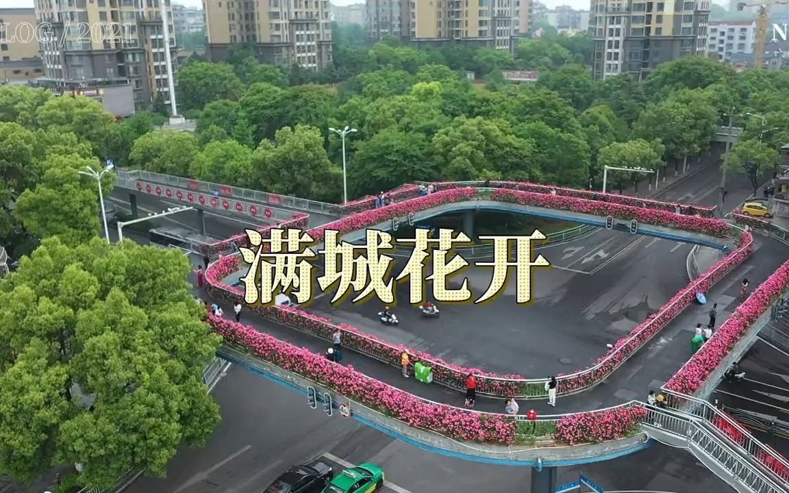 宜昌夷陵:满城花开哔哩哔哩bilibili