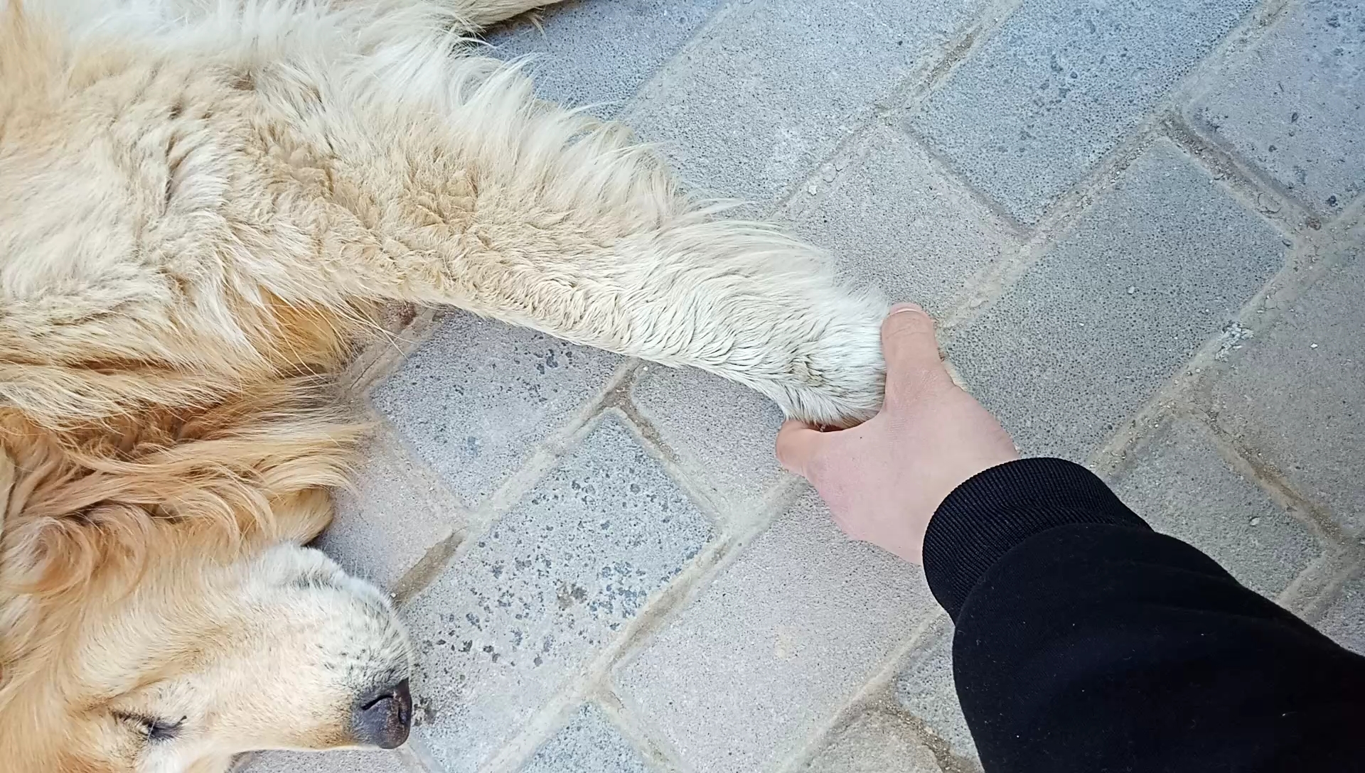 好兄弟  握个爪