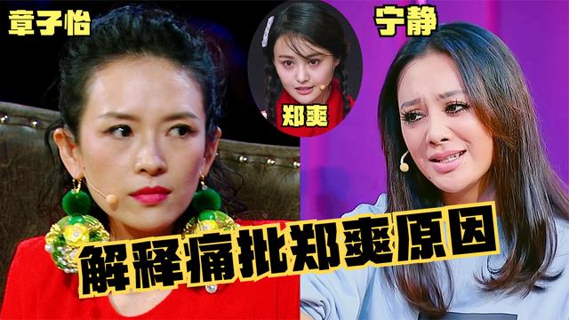 宁静解释对郑爽痛批原因,章子怡台上扔鞋怒怼郑爽_哔哩哔哩 (゜-゜)つ