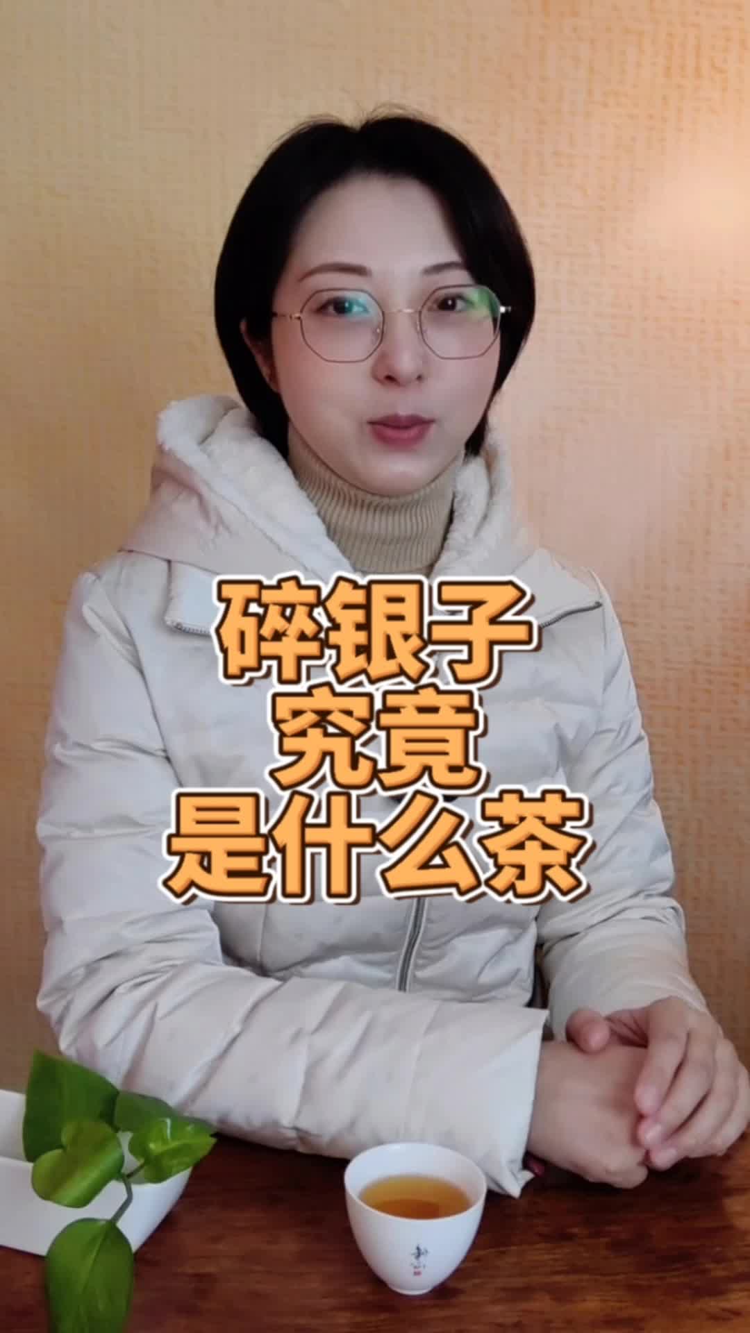 碎银子究竟是什么茶哔哩哔哩bilibili