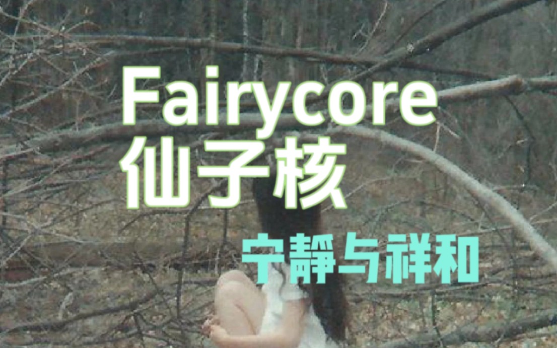 〔Fairycore〕重回童年时期的神话故事丨仙子核哔哩哔哩bilibili