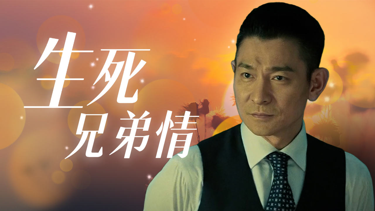 追龙:甄子丹和刘德华演绎的生死兄弟情