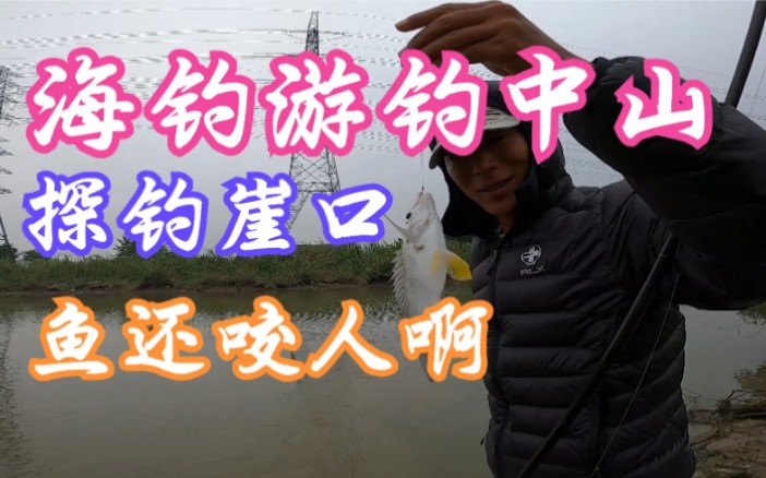 海钓 游钓 野钓 探钓 钓点 中山 南朗 崖口哔哩哔哩bilibili