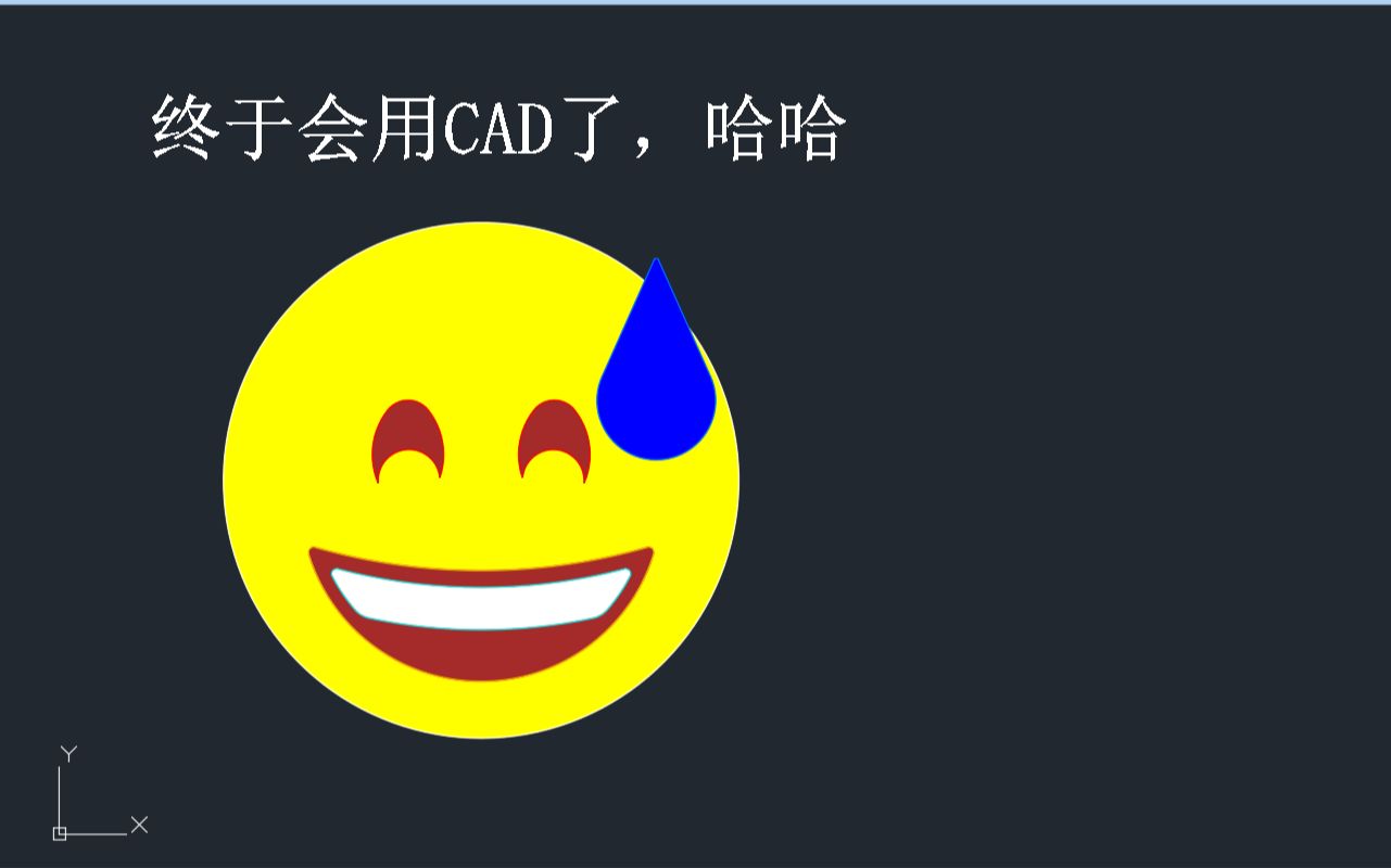 CAD画流汗黄豆,纪念学会CAD哔哩哔哩bilibili