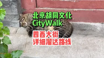 下载视频: 北京city walk系列，今天带大家逛的是，西四大街！#北京旅游攻略 #吃喝玩乐在北京 #总要来一趟北京吧