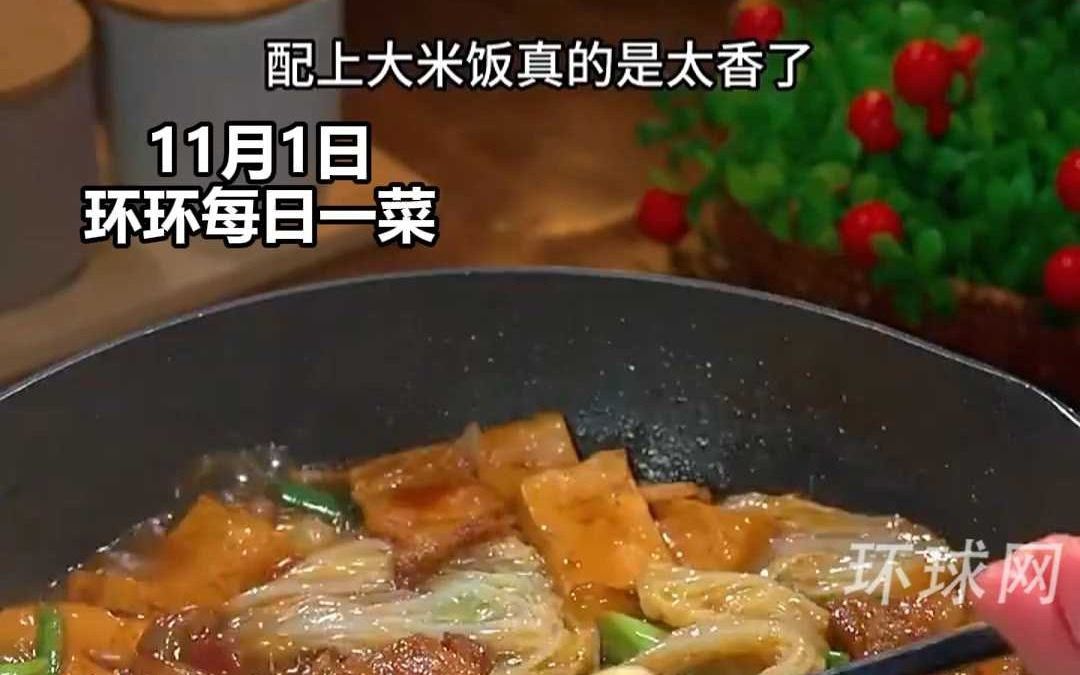 【环环每日一菜】天气越来越冷,经典的猪肉白菜炖粉条还有人不会做吗哔哩哔哩bilibili