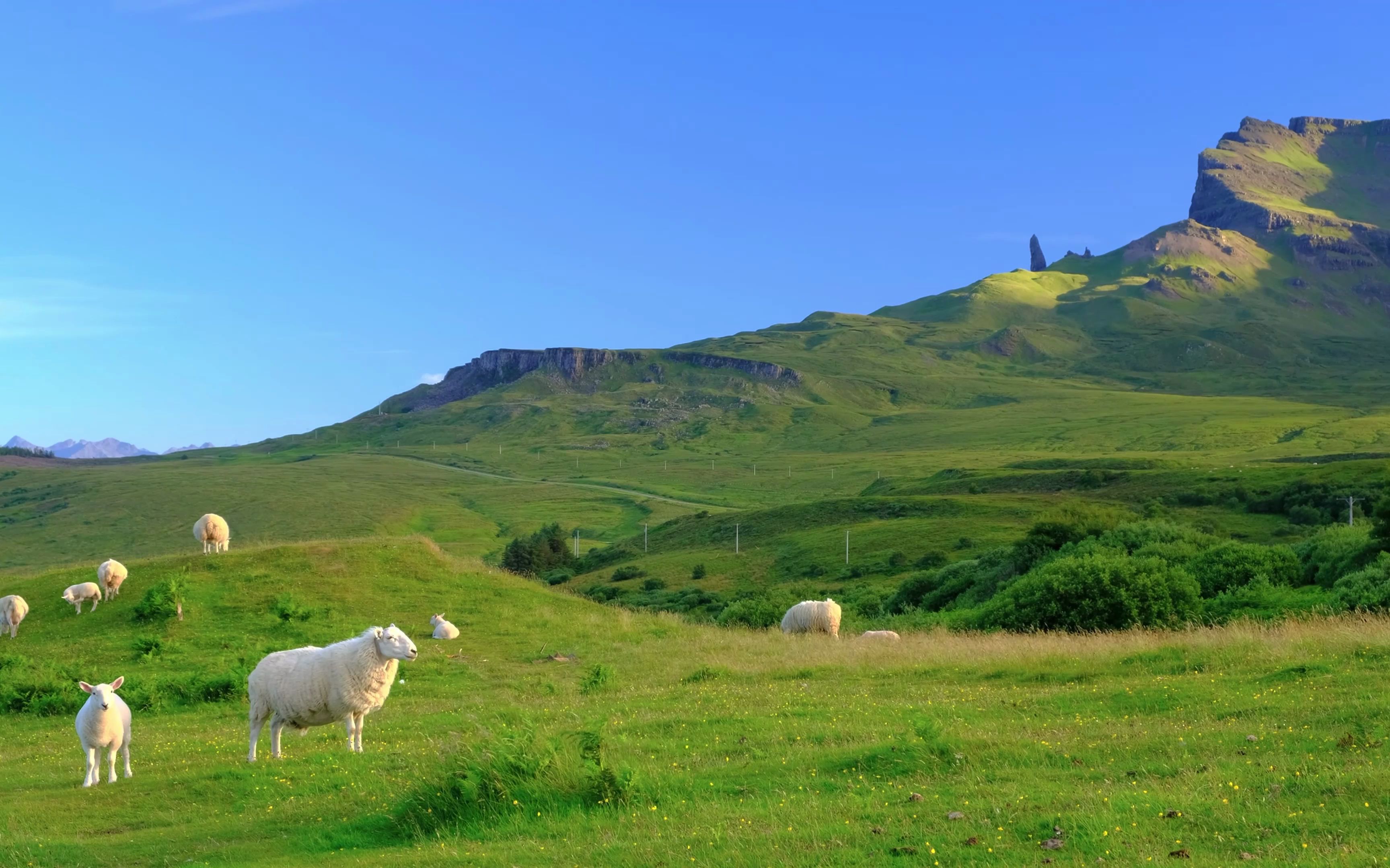 【4k】_超清,绝色美景,一起走进大自然,一起聆听世界的呼喊