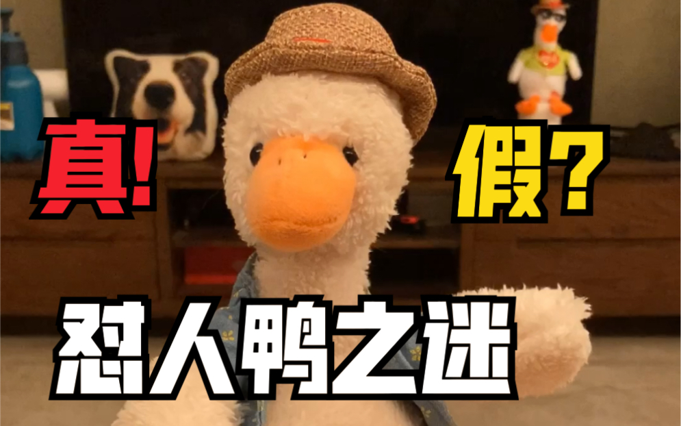 惊原来全网最火的怼人鸭根本就不是真的
