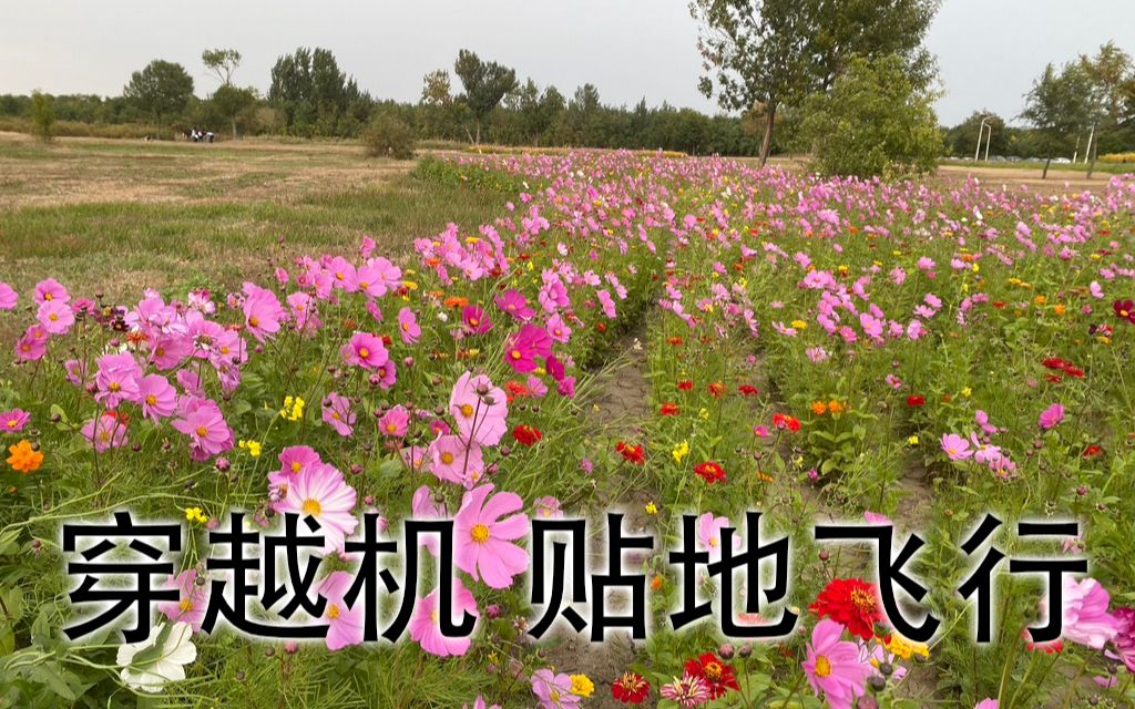 贴地飞行穿越机飞行练习滨海新区北塘哔哩哔哩bilibili