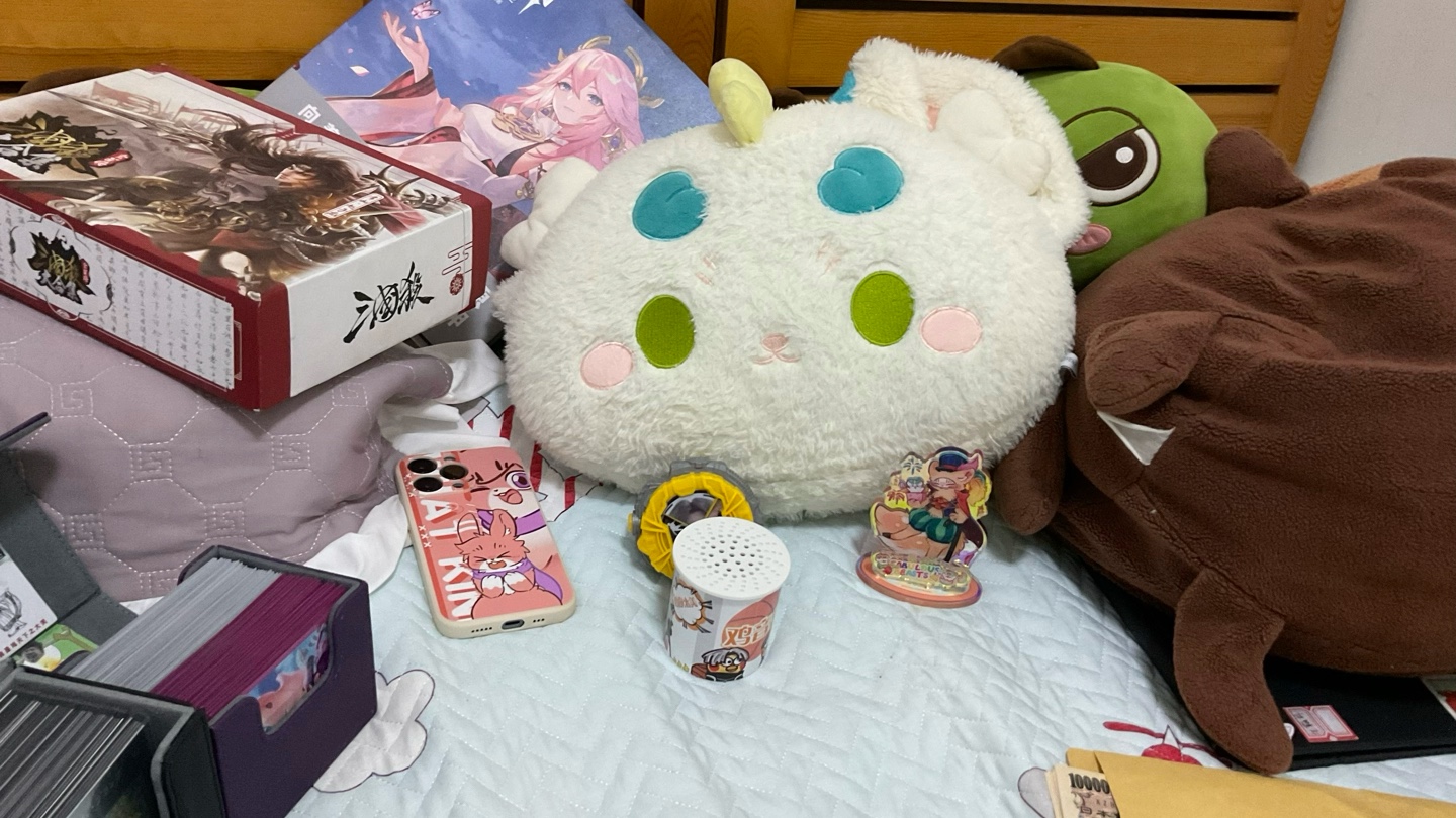 成分复杂61114514 旁边的日元是我跟学校游学去日本带的