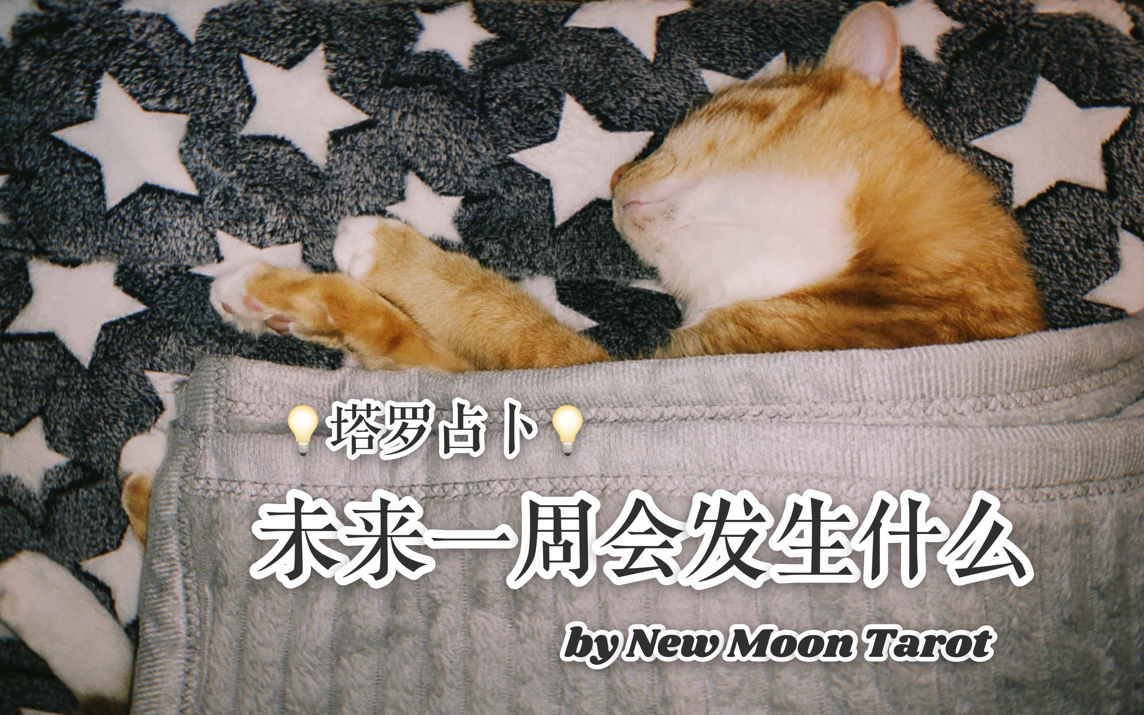 New Moon / 未来一周会发生什么 / timeless or 10.12nd to 10.18th / 塔罗占卜哔哩哔哩bilibili