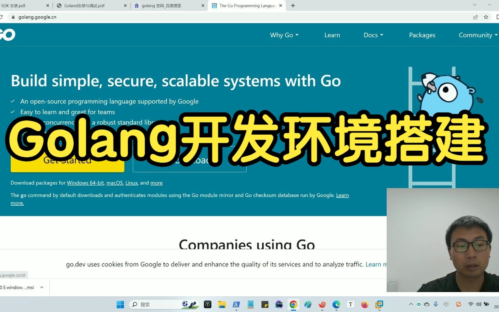 【Golang学习】快速搭建Golang开发环境哔哩哔哩bilibili