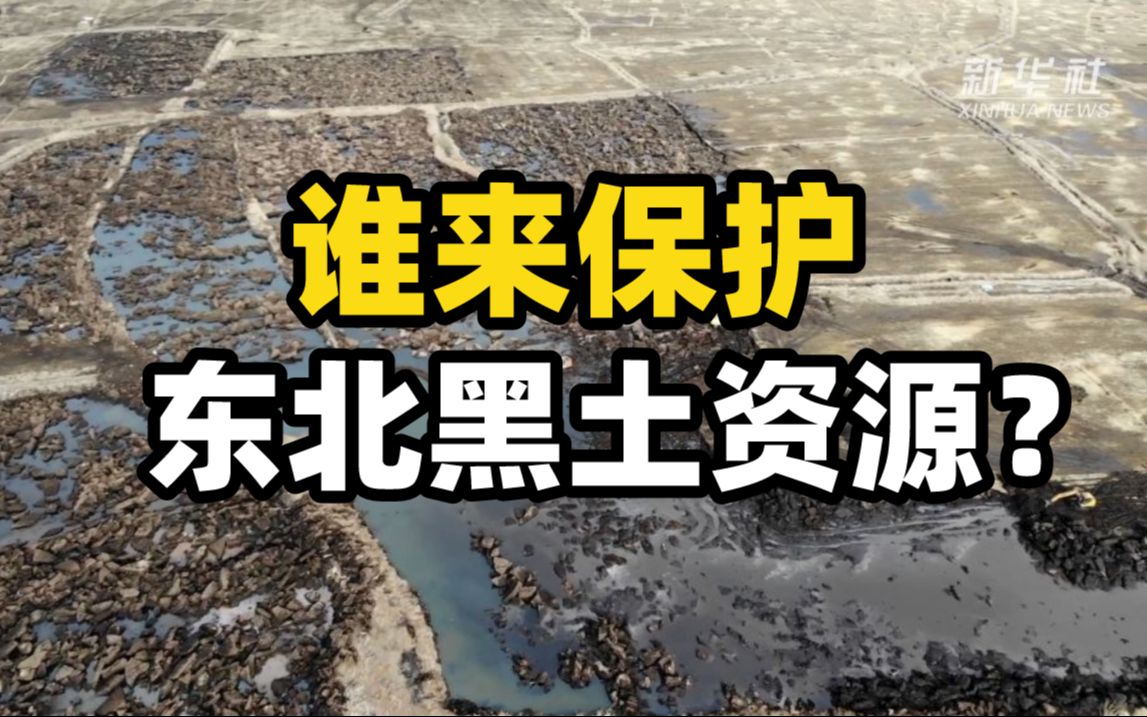 [图]盗挖屡禁不止、环境遭破坏、电商售卖无监管……谁来保护东北黑土资源？