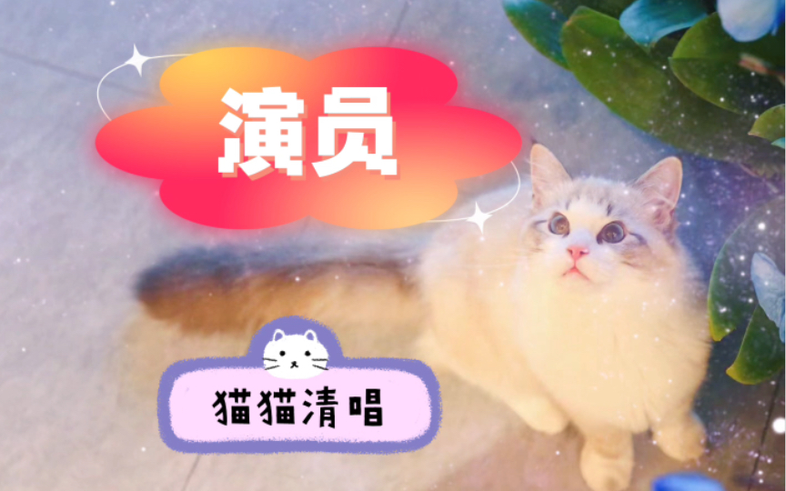 猫猫清唱的《演员》哔哩哔哩bilibili