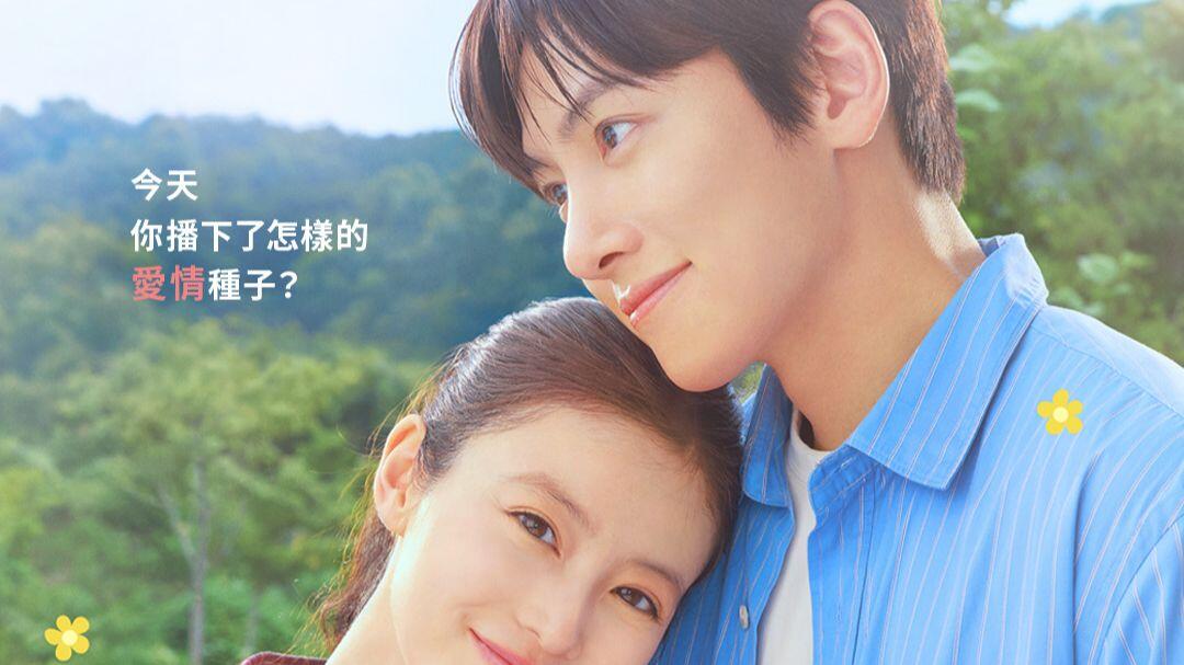 爱上草莓的季节 (2026)【1.4G/集 更新中】【夸克网盘】