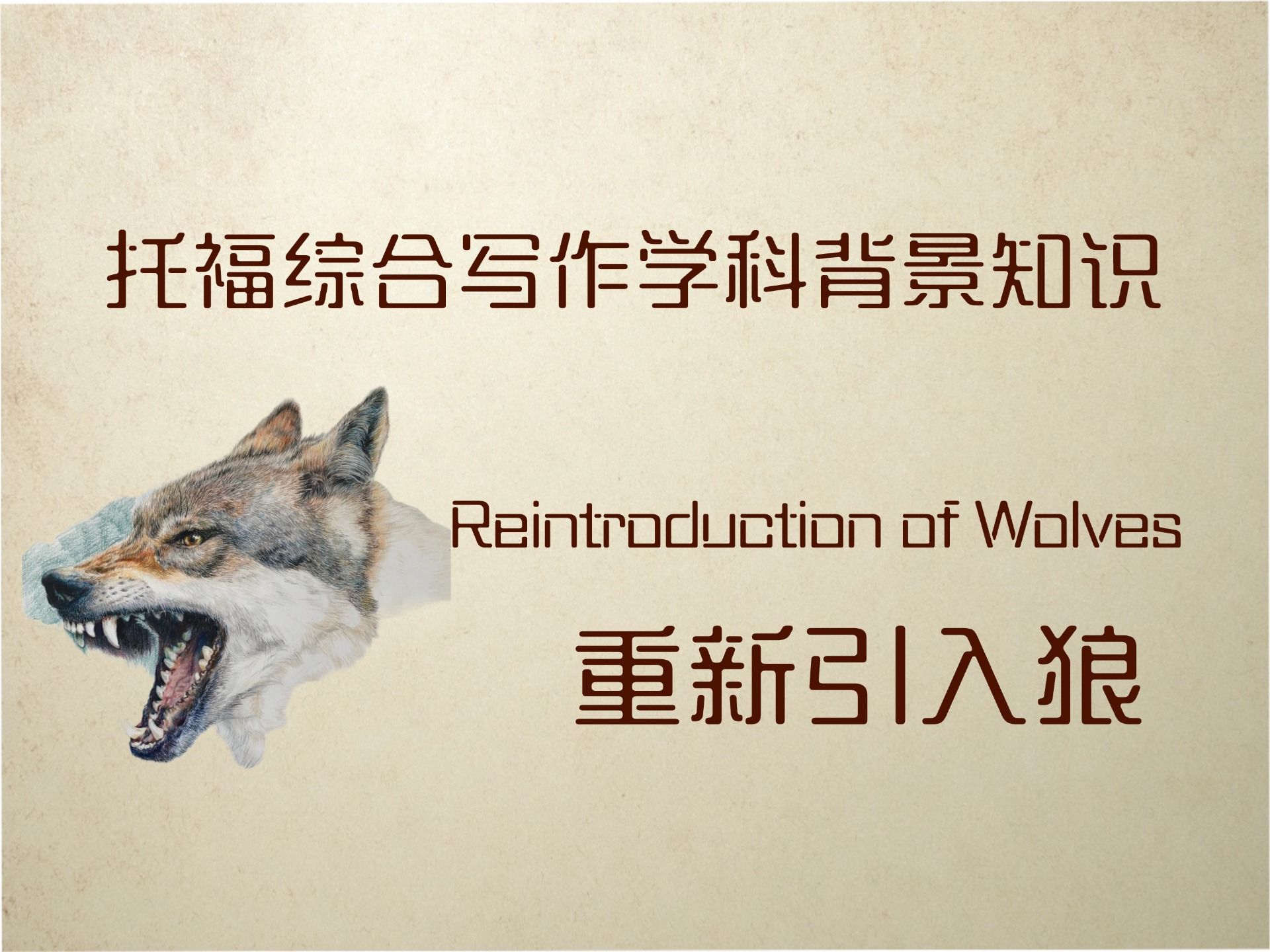 托福综合写作学科背景知识重新引入狼(reintroduction of wolves)哔哩哔哩bilibili