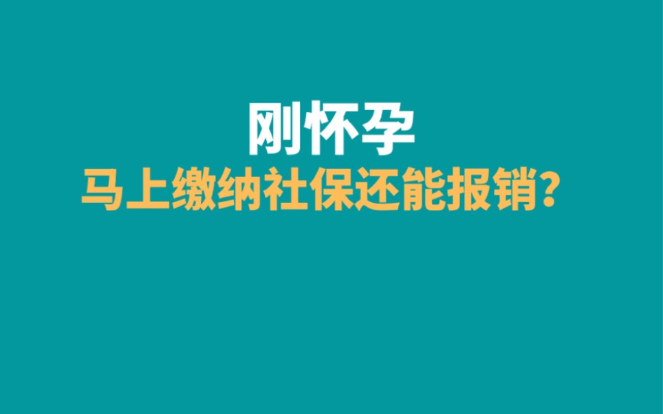 刚怀孕,马上缴纳社保还能报销吗哔哩哔哩bilibili