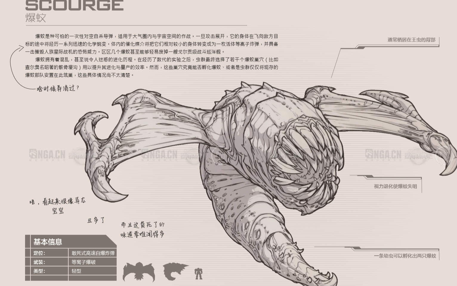 星际大百科虫族篇—爆蚊_哔哩哔哩_bilibili