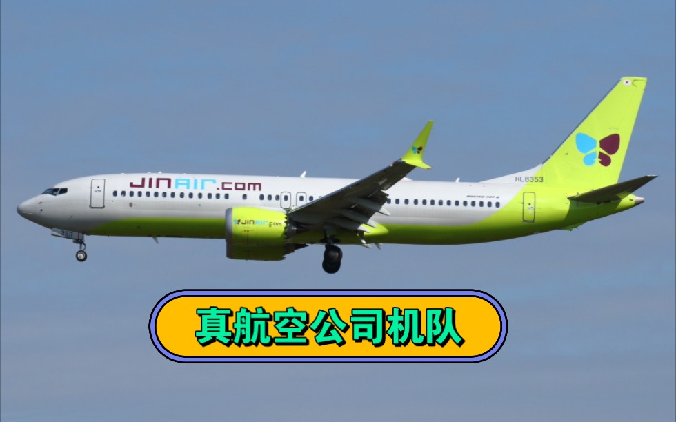 真航空机队情况哔哩哔哩bilibili