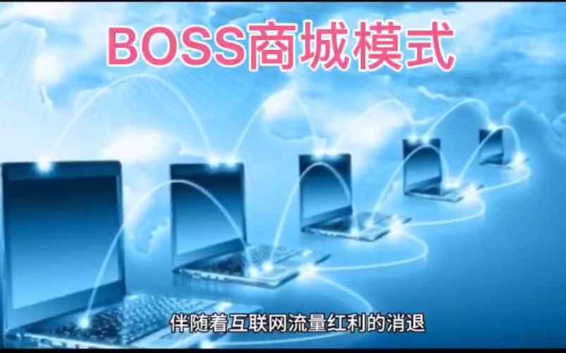 私域营销裂变:BOSS商城模式哔哩哔哩bilibili