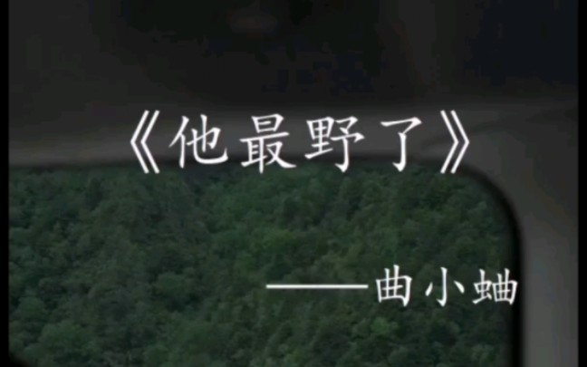 【小说】《他最野了》——曲小蛐,商彦*苏邈邈,【IT大魔王x先心病小“怪胎”】哔哩哔哩bilibili