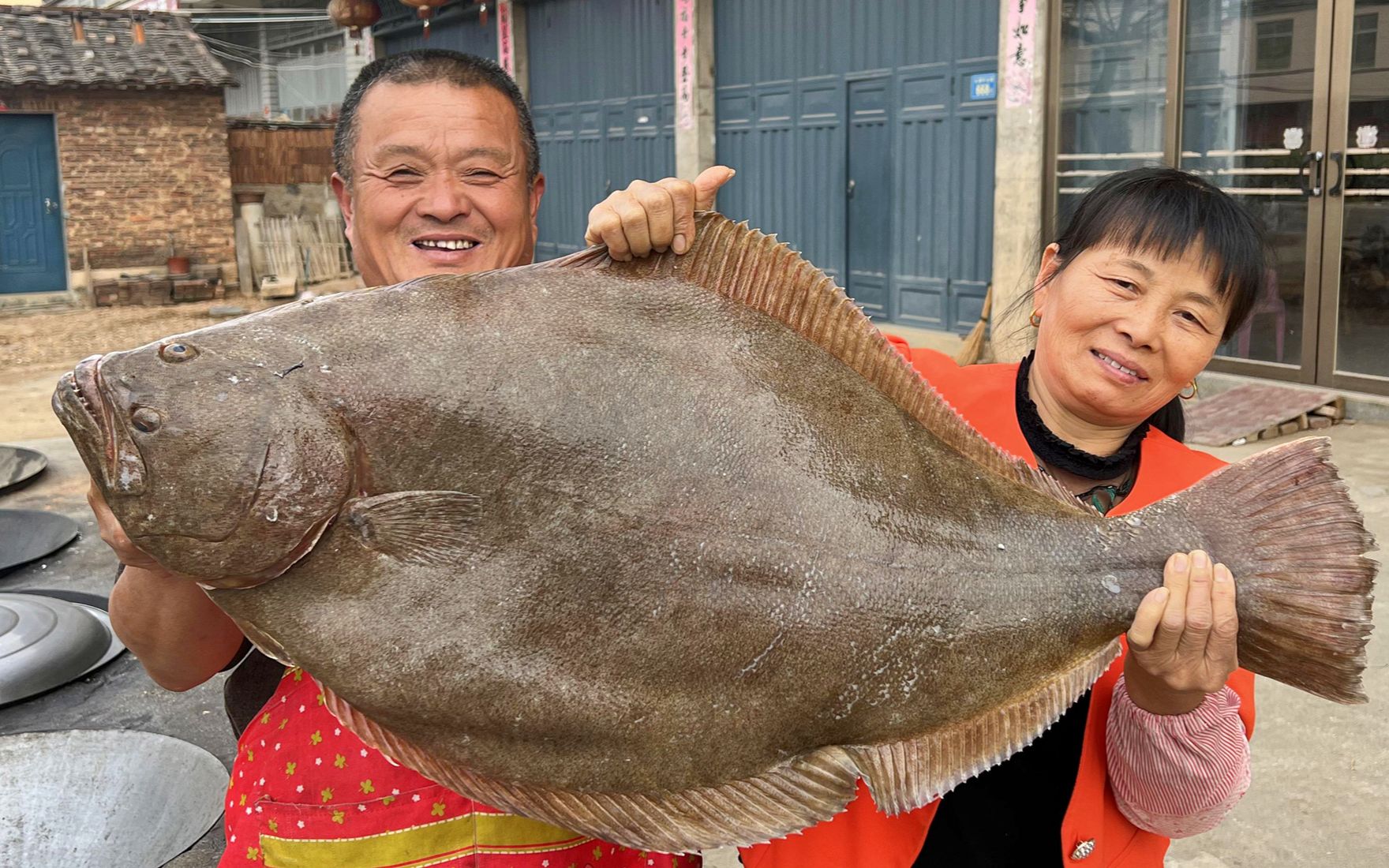 1680买条皇帝鱼,据说以前是皇帝吃的鱼,做鱼炝十几人全吃光了!