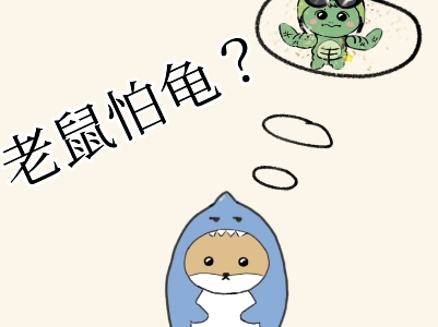 老鼠怕龟?这是谣传!哔哩哔哩bilibili