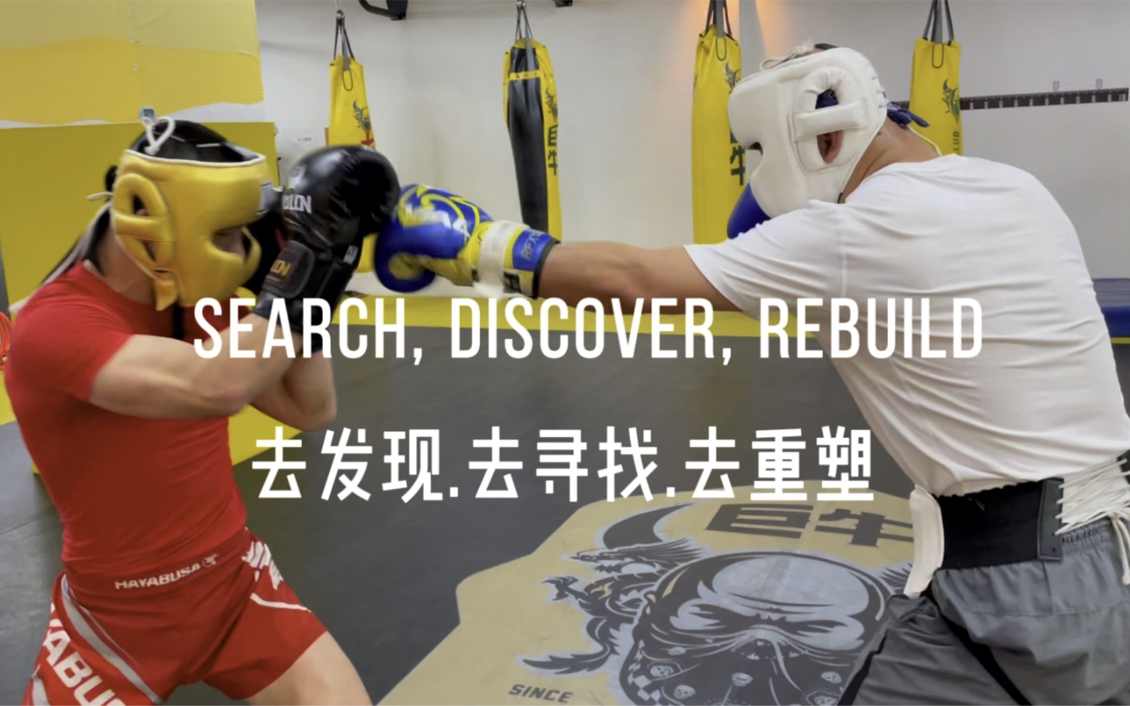 拳击实战Search, Discover, Rebuild哔哩哔哩bilibili