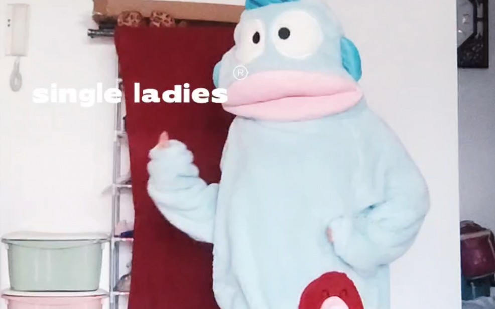 【四囍】single ladies,听说要完整穿丑鱼睡衣的版本