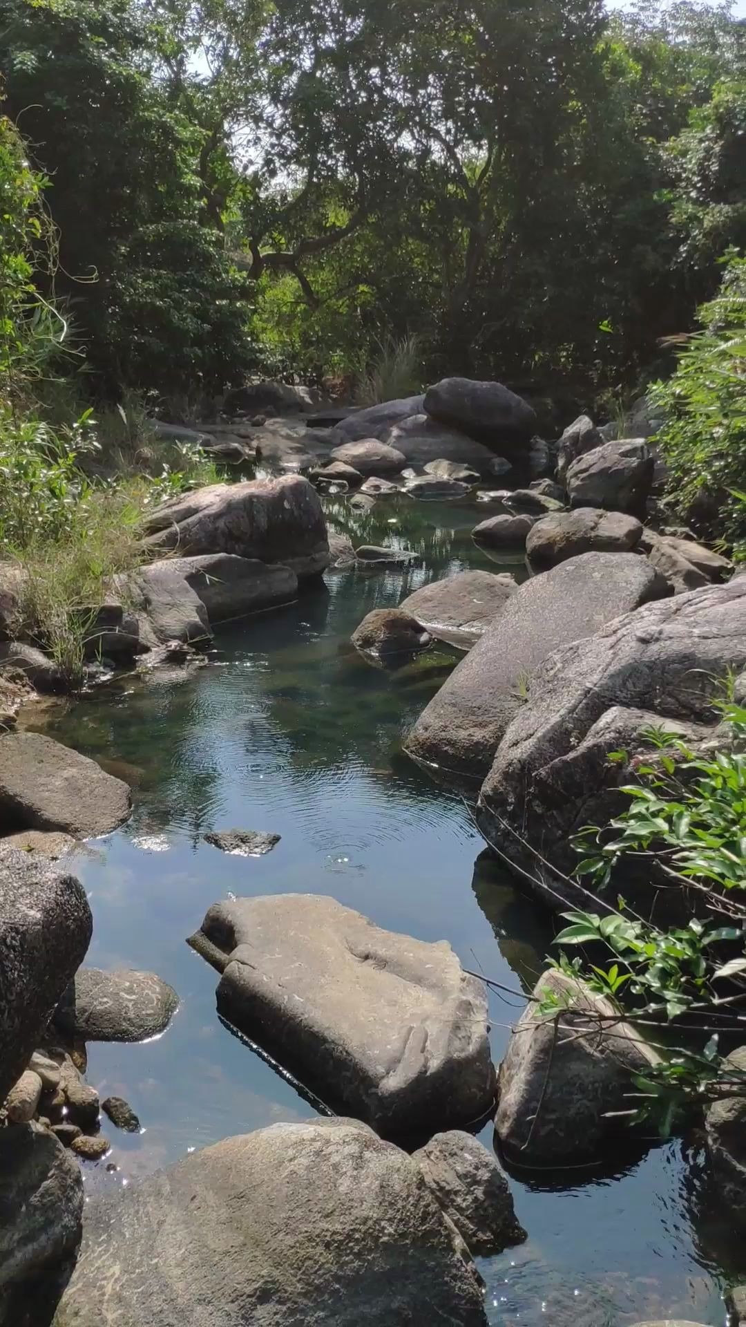 [图]溪流野钓，只想钓小鱼没想到有“巨物”