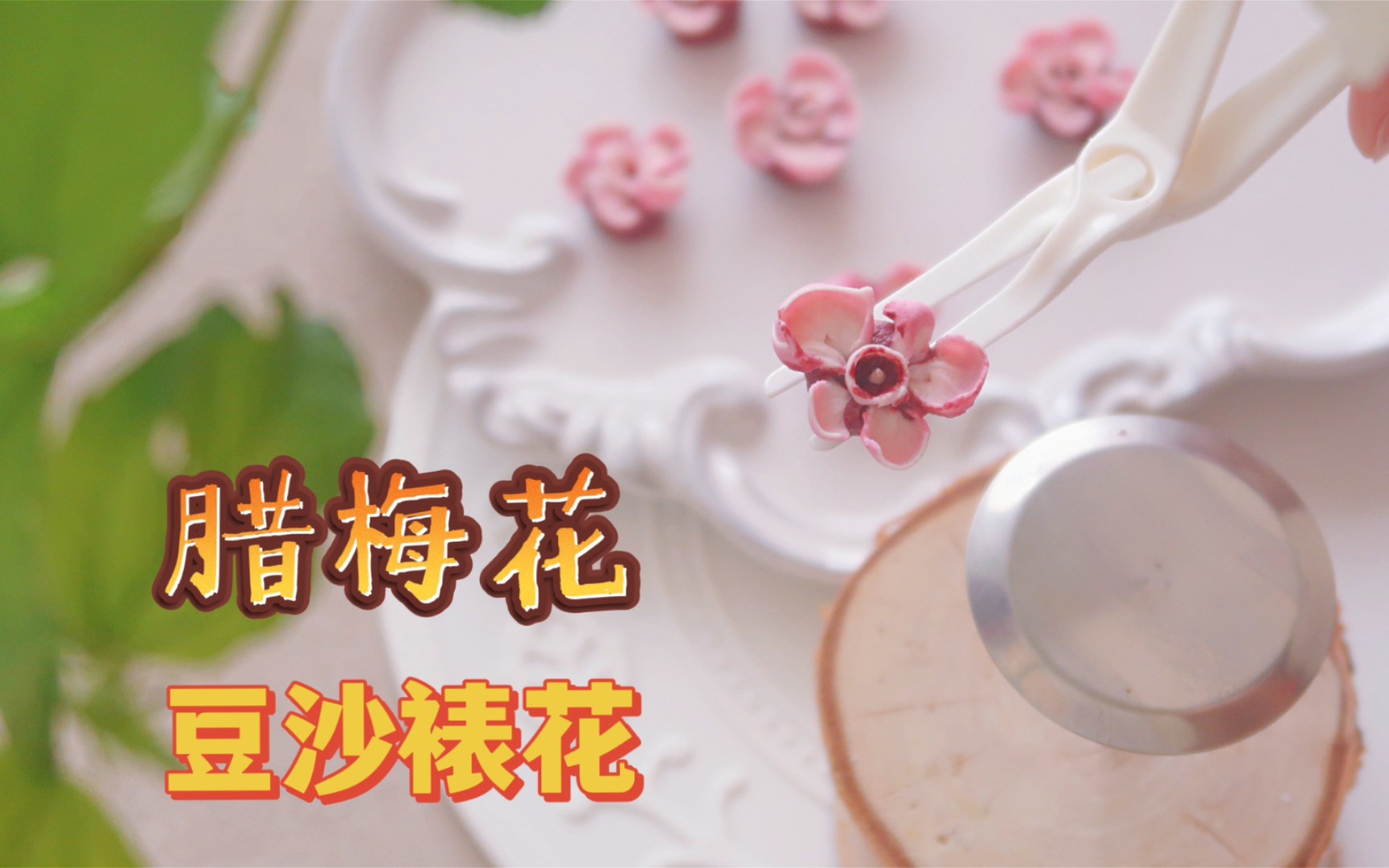 澳梅腊梅【零基础豆沙裱花教学】哔哩哔哩bilibili