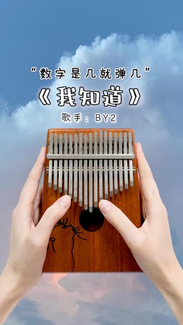 《我知道》卡林巴拇指琴演奏 秋天伤感的旋律~13 13 13 13