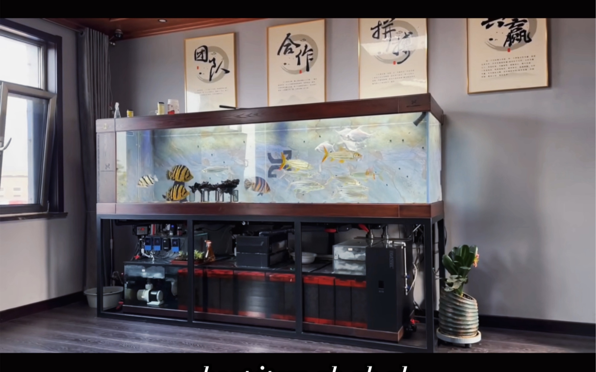 久鼎定制弗兰克,y2底滤系统.