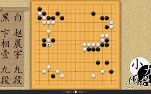 中韩高手对抗赛：赵晨宇潇洒行棋赏心悦目，如指导棋般完胜卞相壹