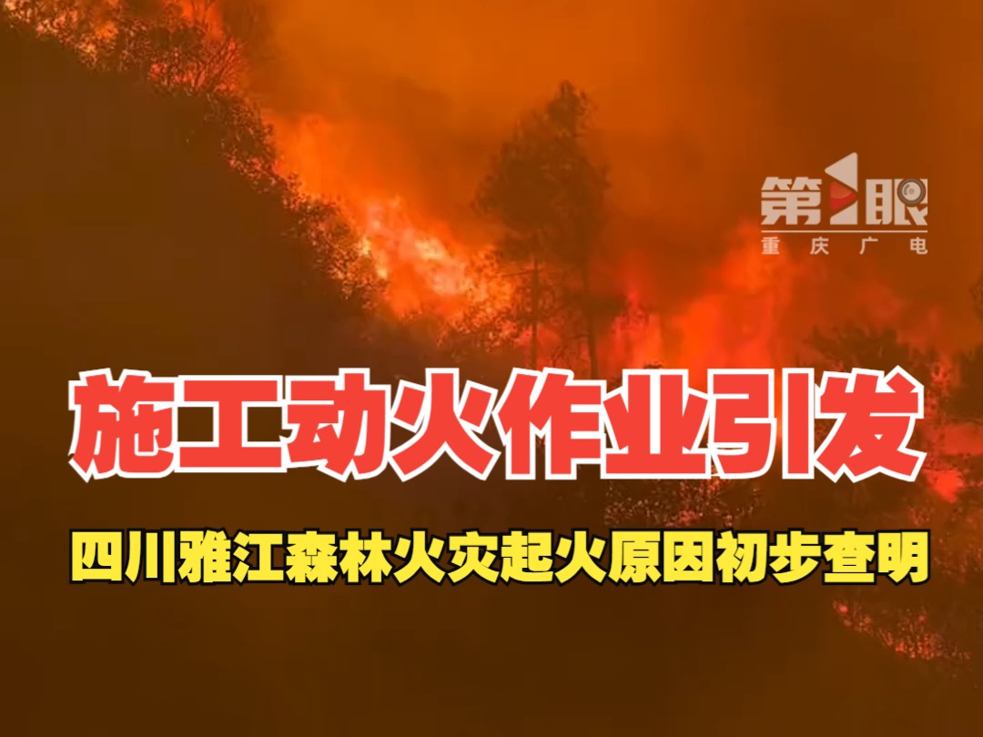 四川雅江县森林火灾起火原因初步查明 :系施工动火作业引发哔哩哔哩bilibili