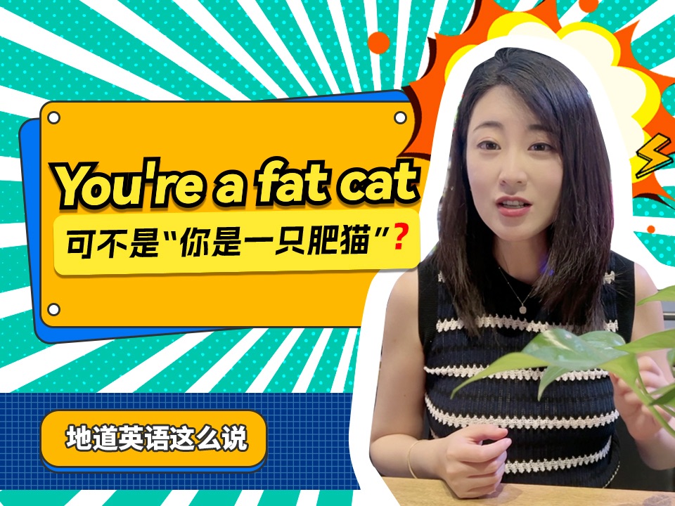 英文“You're a fat cat”可不是“你是一只肥猫”哔哩哔哩bilibili