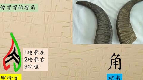 124 龙头锯角 说文解字 汉字演变 汉字 趣味识字 象形字 甲骨文 金文 篆文 哔哩哔哩