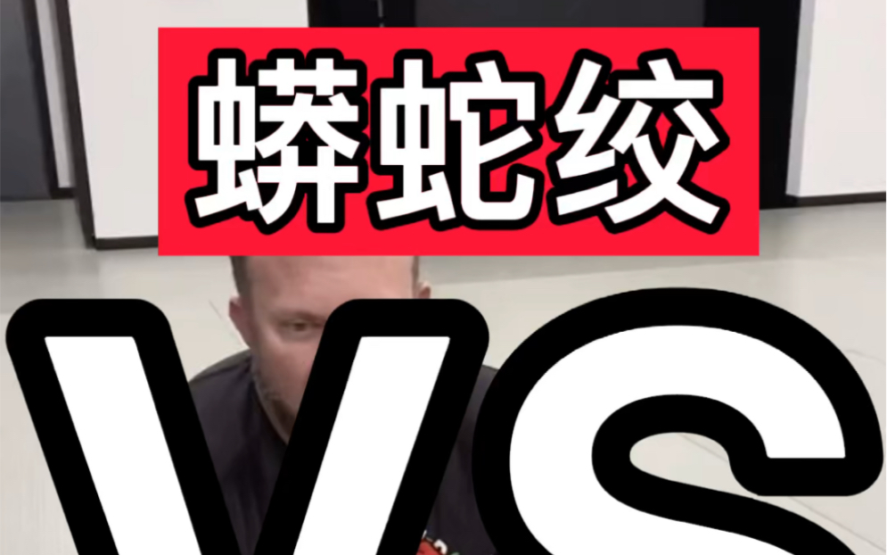 巴柔之家译制组人工译制蟒蛇绞vs达斯绞