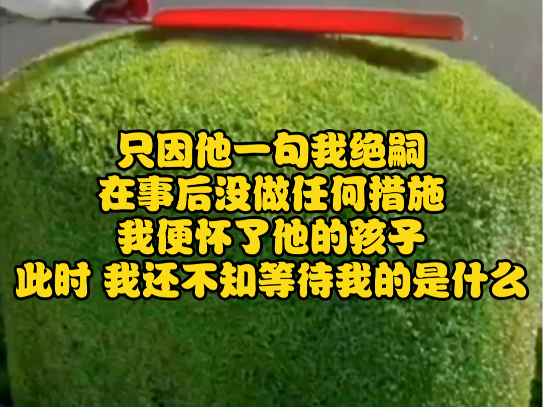 只因他一句我绝嗣在事后没做任何措施我便怀了他的孩子此时 我还不知等待我的是什么哔哩哔哩bilibili