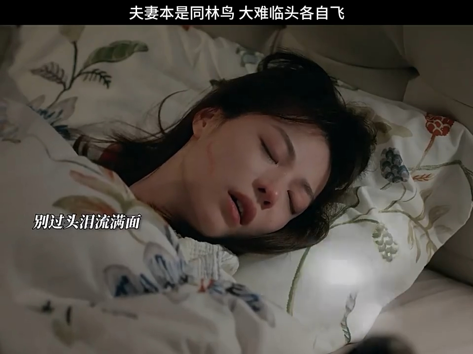 夫妻本是同林鸟,大难来临各自飞!哔哩哔哩bilibili