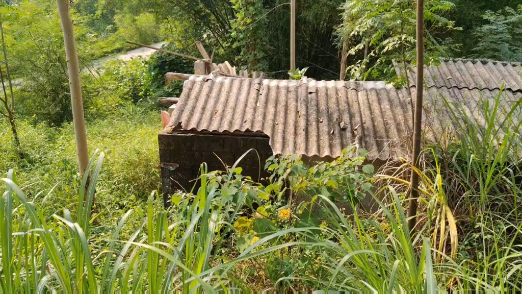 [图]小勇想了一个晚上，心里放不下小凤，决定跟小凤好好谈一谈