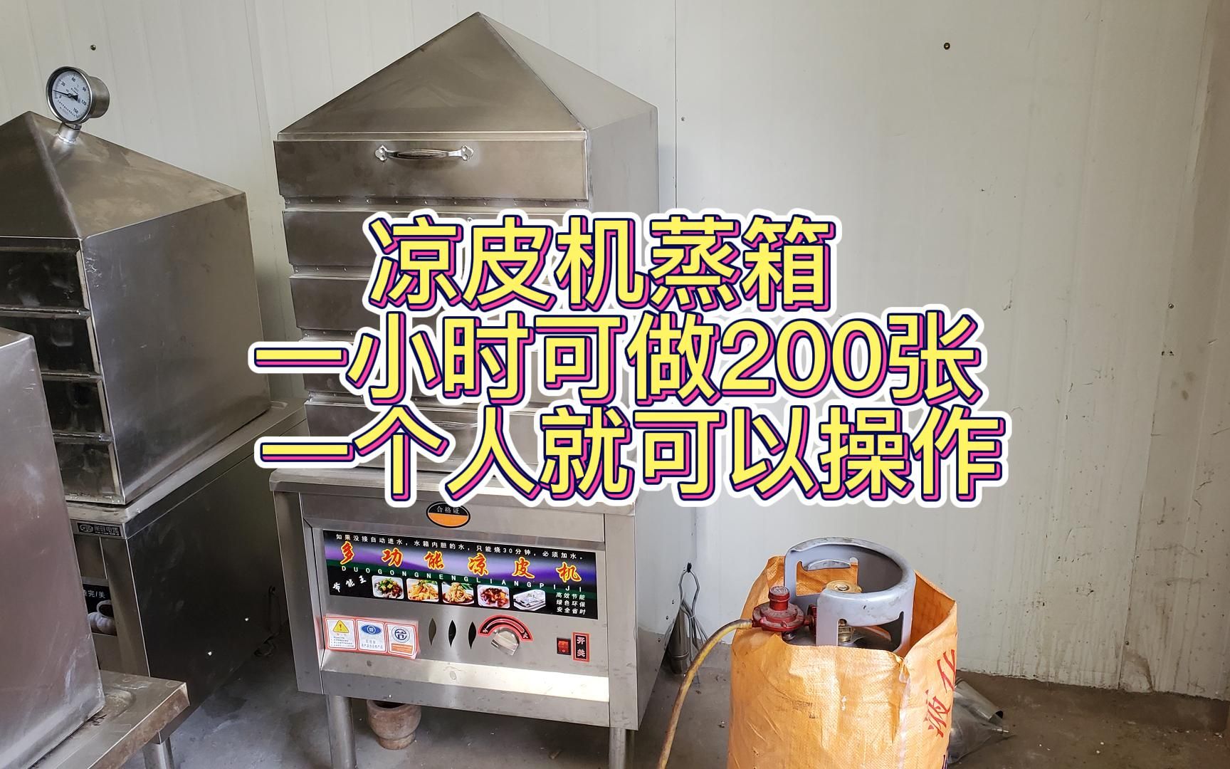 多层抽屉式蒸汽凉皮机 小型凉皮蒸箱 蒸面皮蒸笼 一机多用