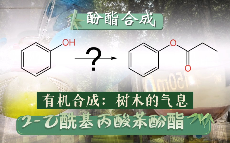 【化学】有机合成:树木的气息,2乙酰基丙酸苯酚酯哔哩哔哩bilibili